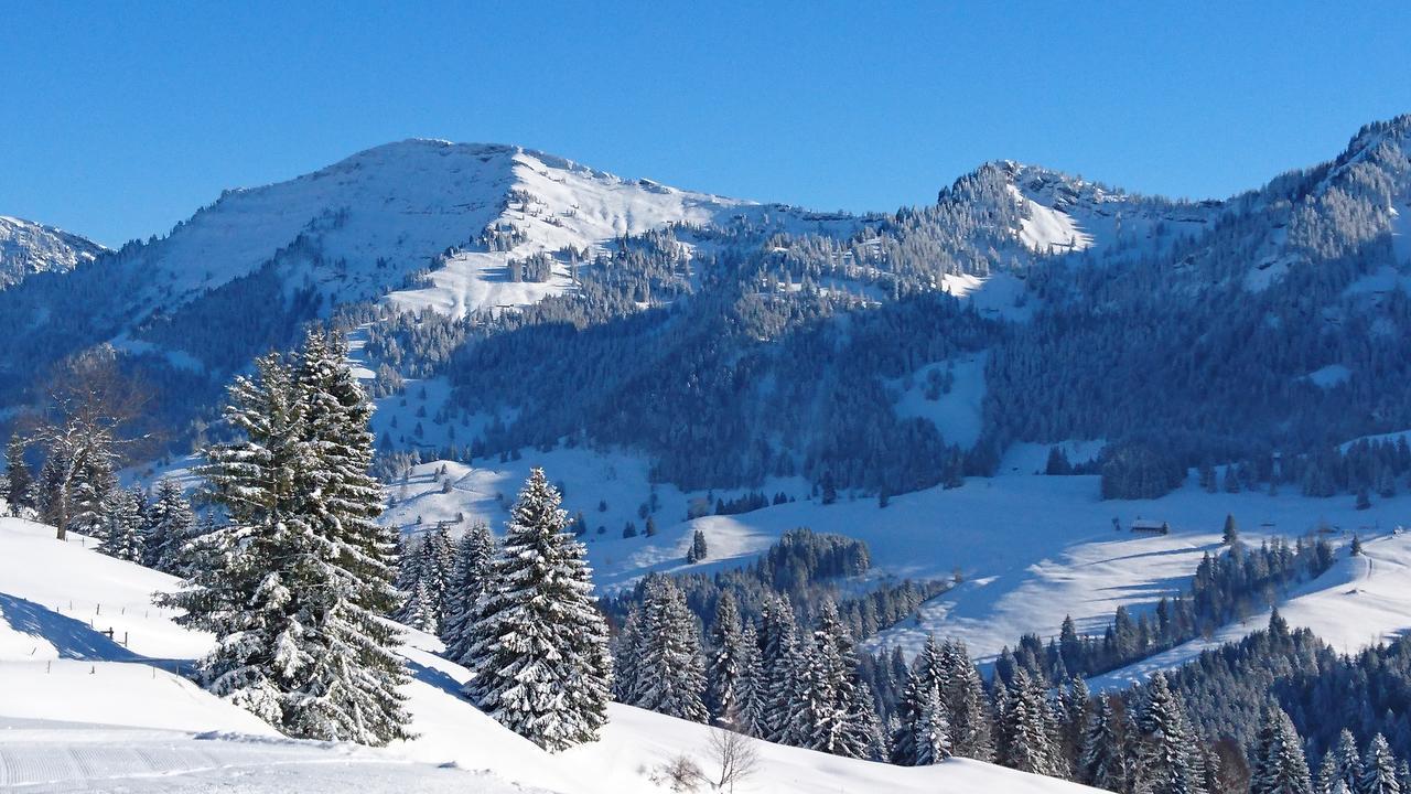 Berghues Schratt - Einfach Anders - Ihr Vegetarisches Und Veganes Biohotel Oberstaufen Bagian luar foto