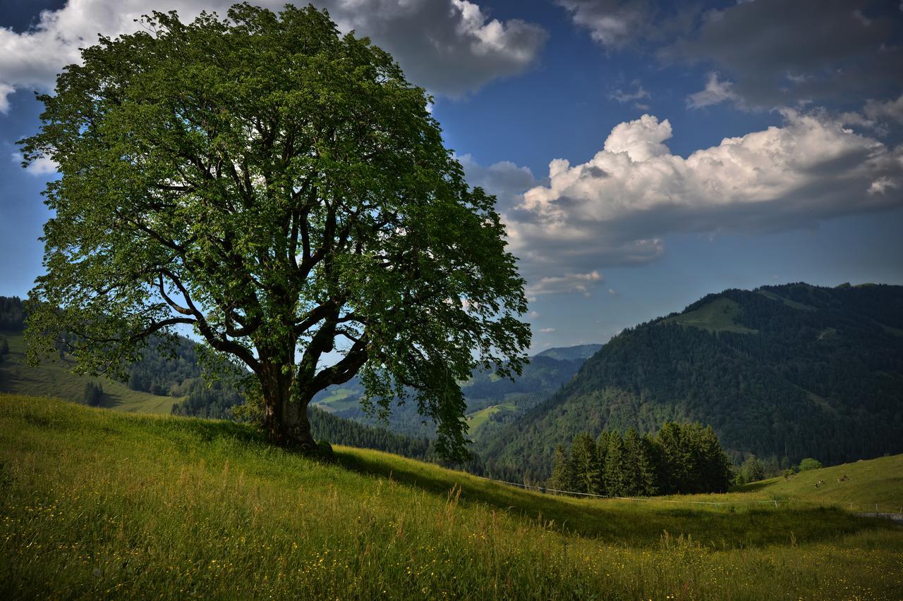 Berghues Schratt - Einfach Anders - Ihr Vegetarisches Und Veganes Biohotel Oberstaufen Bagian luar foto