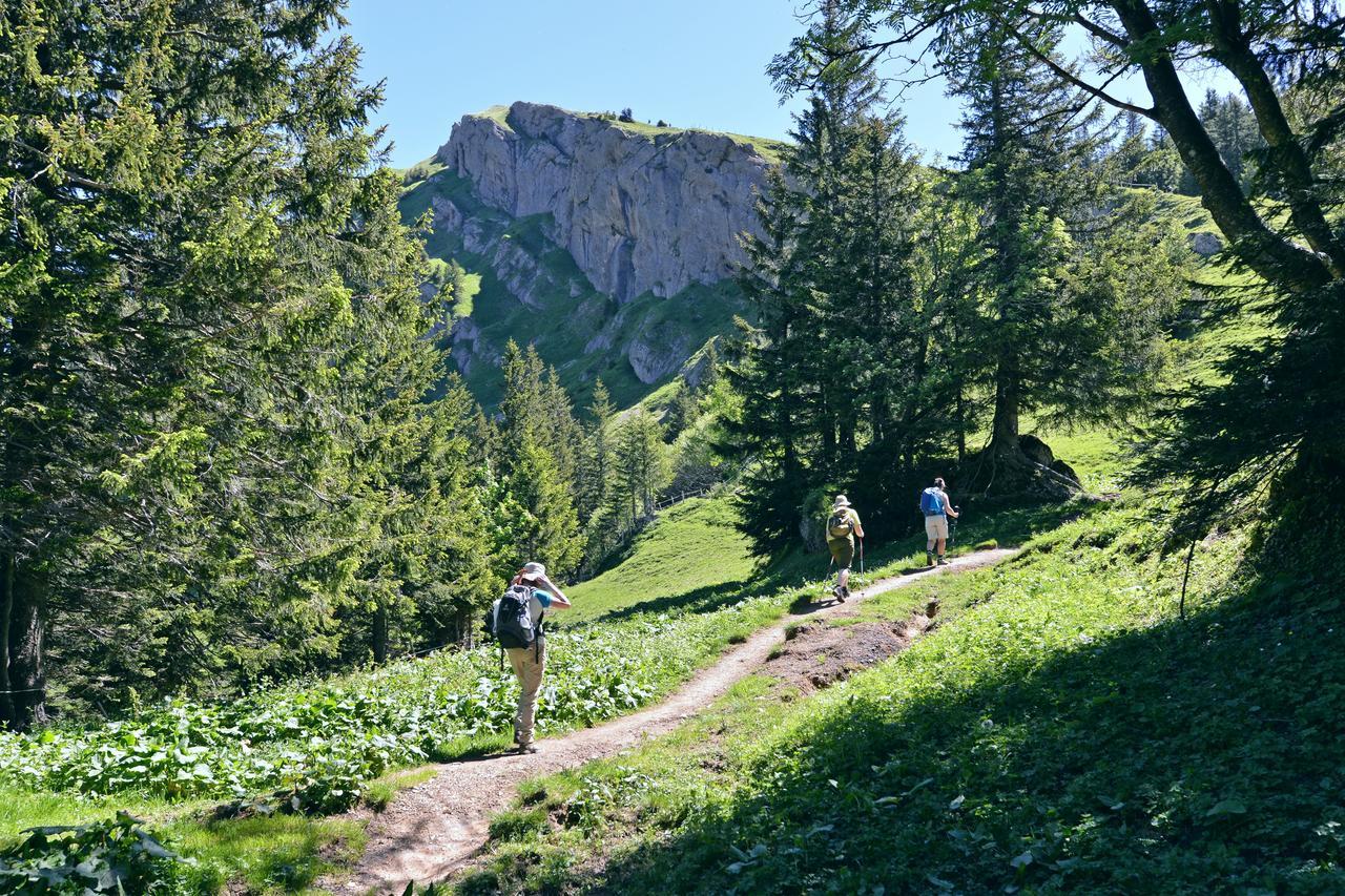 Berghues Schratt - Einfach Anders - Ihr Vegetarisches Und Veganes Biohotel Oberstaufen Bagian luar foto