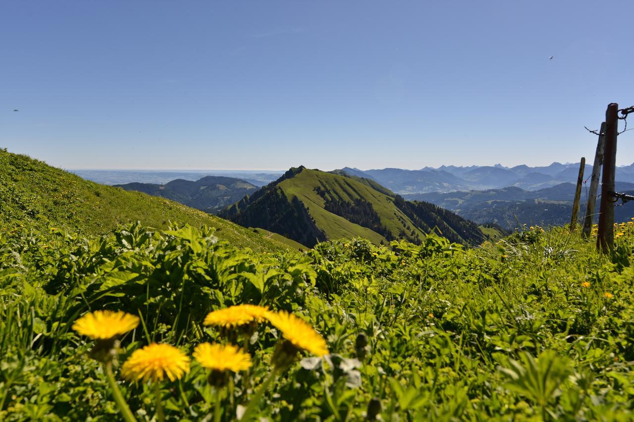 Berghues Schratt - Einfach Anders - Ihr Vegetarisches Und Veganes Biohotel Oberstaufen Bagian luar foto