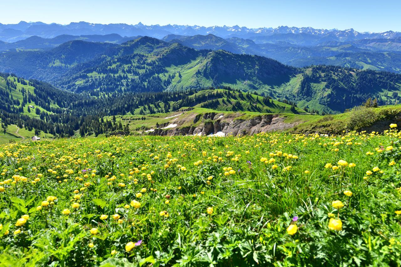 Berghues Schratt - Einfach Anders - Ihr Vegetarisches Und Veganes Biohotel Oberstaufen Bagian luar foto